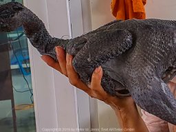 20190901_20190901_101349